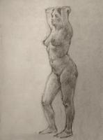 Female nude study