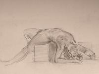 Female nude study