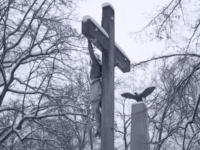 Dust In The Rain serie:"The Jesus and The Eagle"